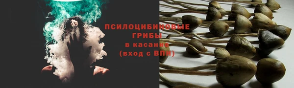 mdma Вяземский