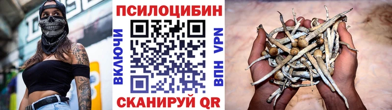 Псилоцибиновые грибы Psilocybine cubensis  Елизаветинская 